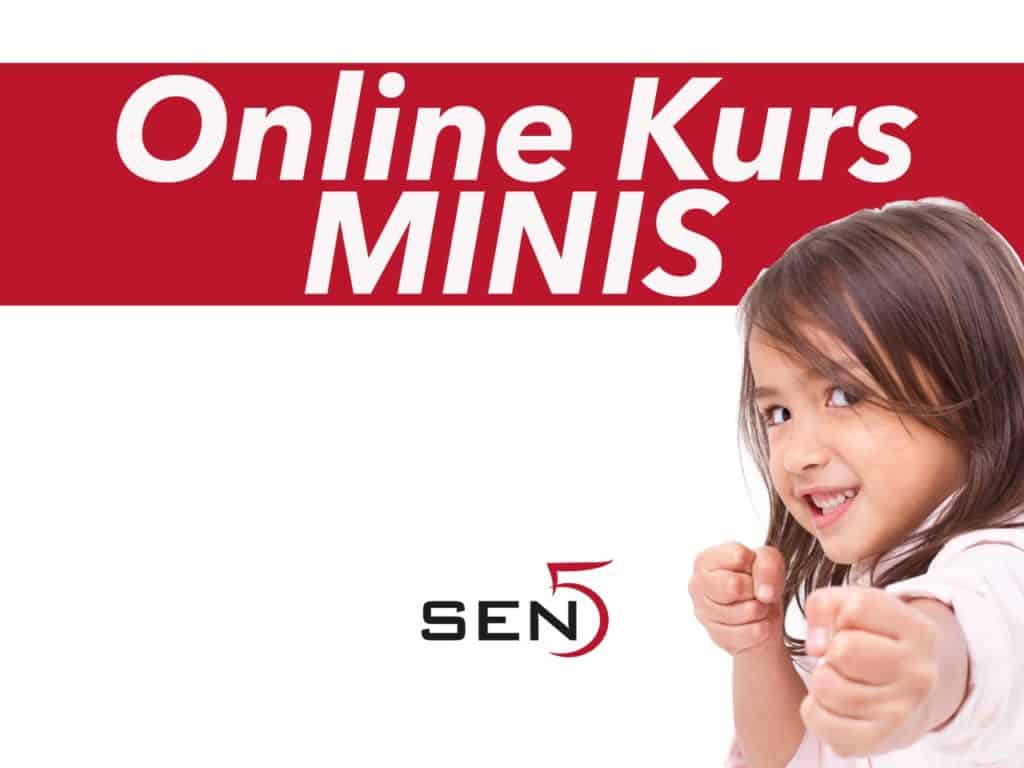 Sen5 Kurs Mini Karate